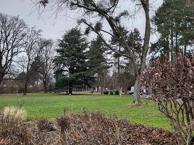 Die Joseph-Brandel-Anlage ist das grüne Herz des Freiburger Stadtteils Haslach...